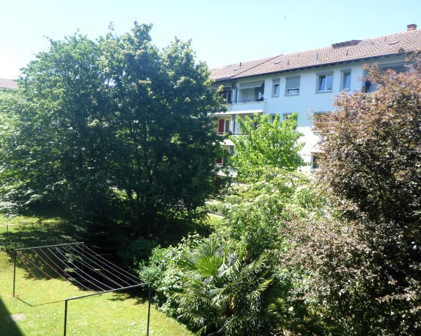 B-Hinterhof